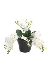 BEYAZ SARKAN YAPAY ORKİDE 33CM