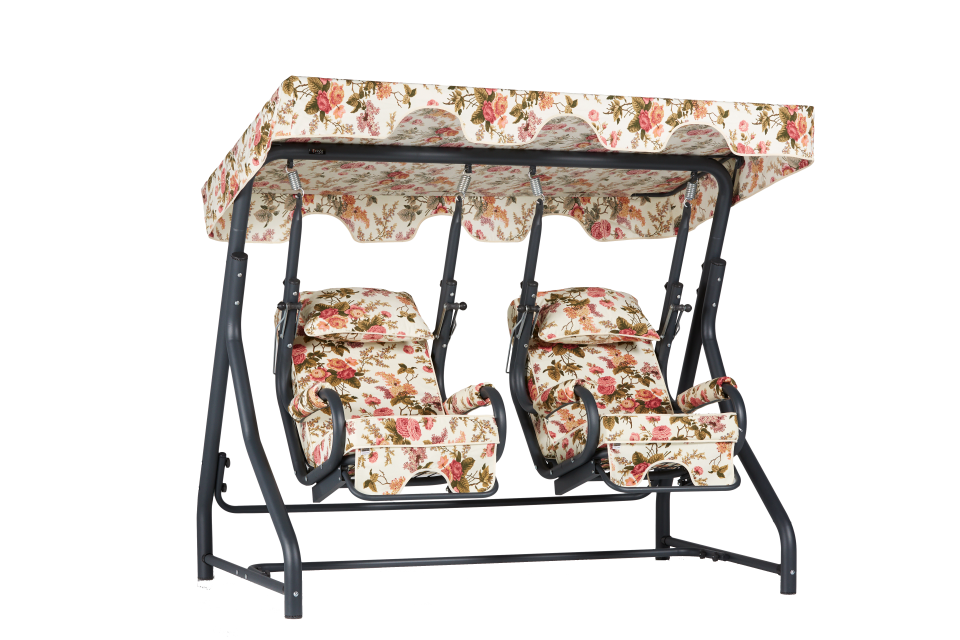 DAİSY PNG SALINCAK