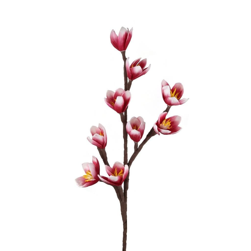Pink Spring Branch